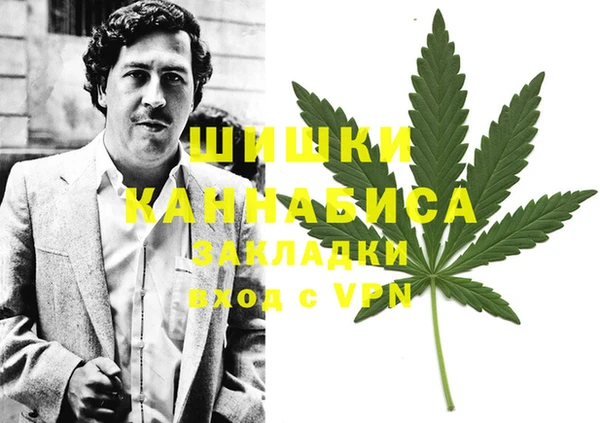 дурь Алзамай