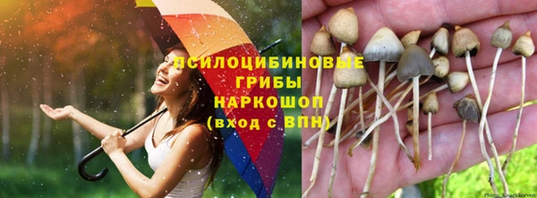 кокаин Алексеевка